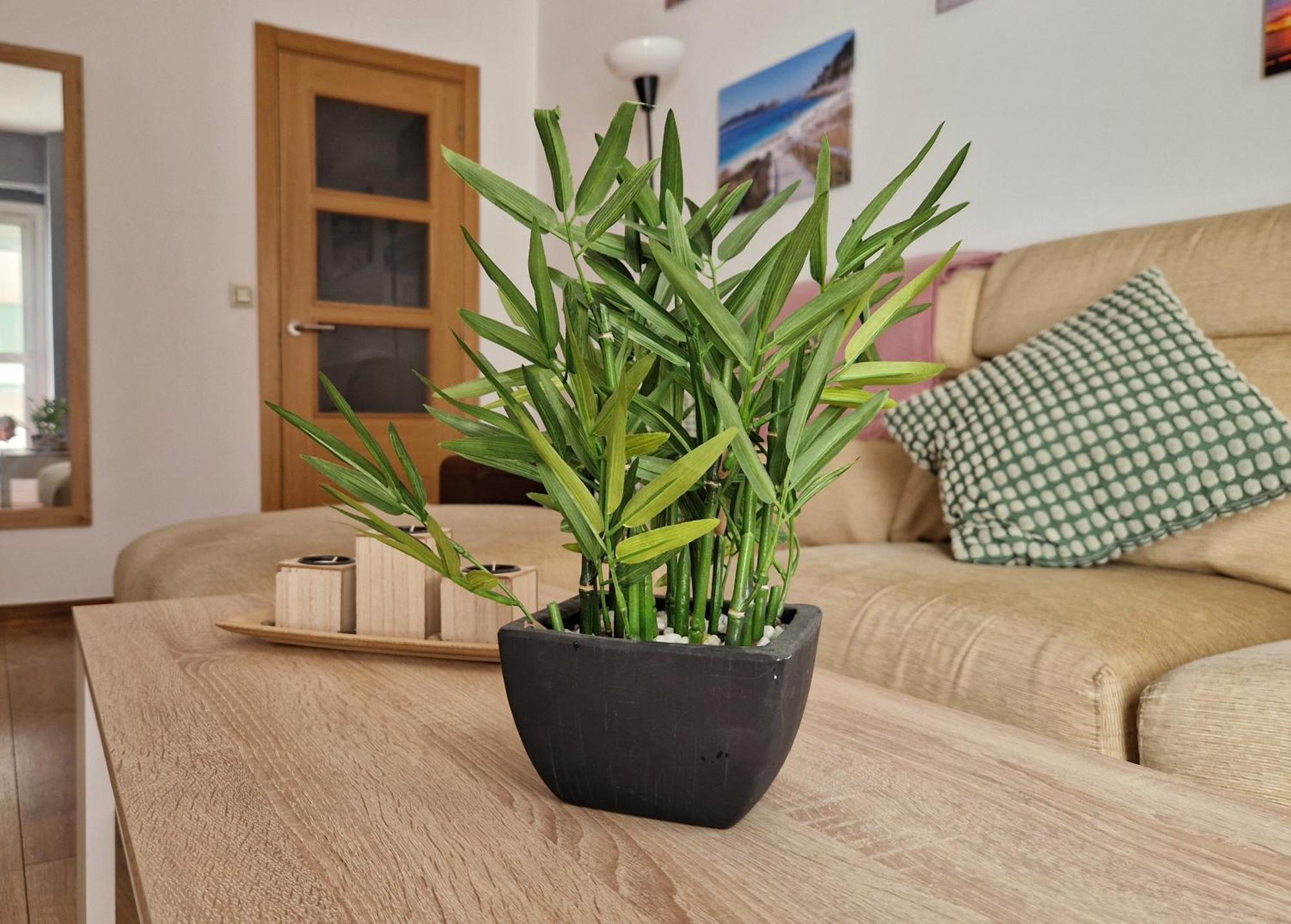 Apartamento Playa Bouzas - Vigo - Parking Free Dış mekan fotoğraf